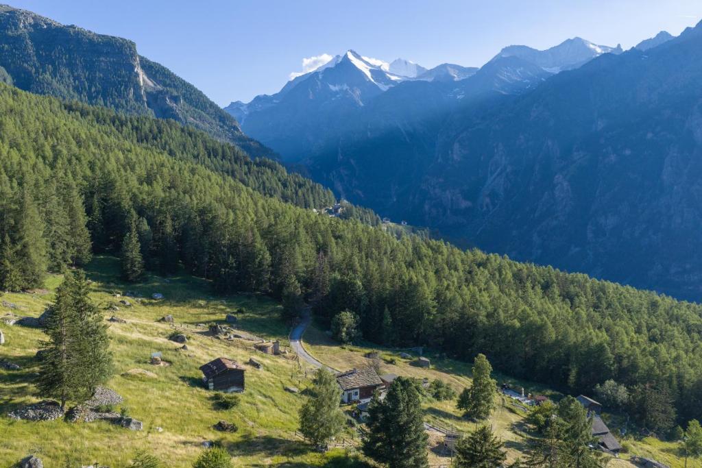 a view of a valley with trees and mountains at Waldnest in Grächen