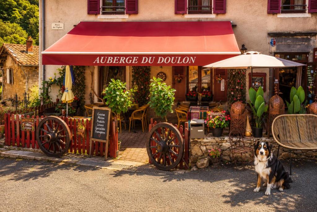 a dog is standing in front of a restaurant at Auberge du fromager in Saint-Didier-sur-Doulon