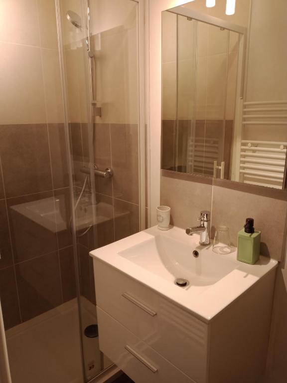 a bathroom with a sink and a shower at Karibu Normandy in Saint-Désir