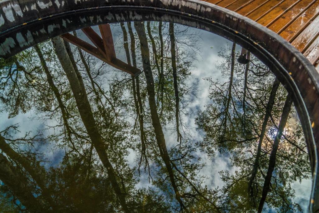 Fotografie z fotogalerie ubytování Los Lingues Lodge v destinaci Puerto Octay