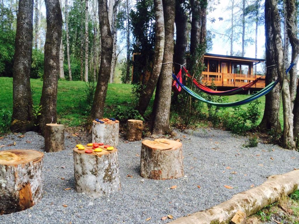 Zahrada ubytování Los Lingues Lodge