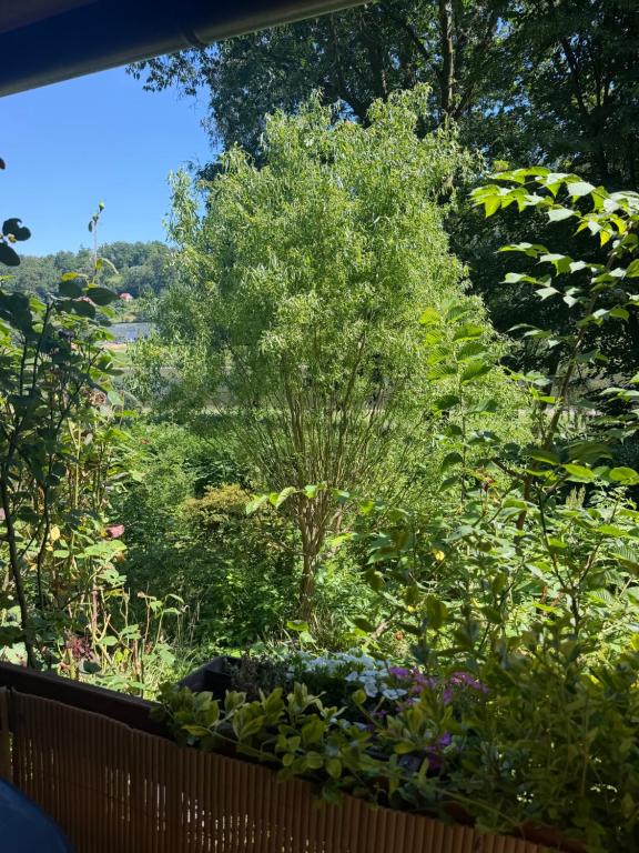 a view of a garden from a balcony at Campingurlaub mit Blick auf die Elbe in Pfaffendorf