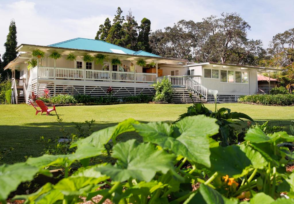 una gran casa blanca con un gran patio en Aloha Junction Guest House - 5 min from Hawaii Volcanoes National Park en Volcano