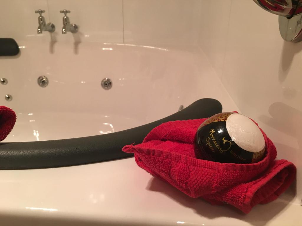 Lakefront Lodge - Resim 27