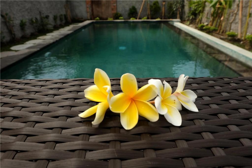 Kolam renang di atau di dekat Eka Bali Guest House