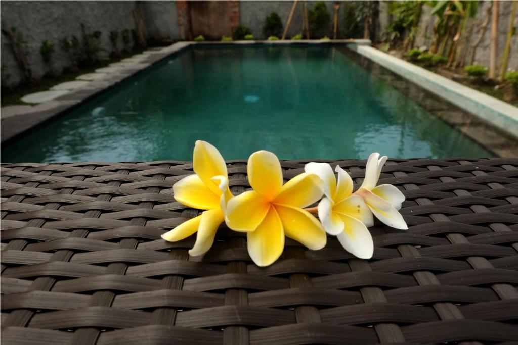 Bazén v ubytování Eka Bali Guest House nebo v jeho okolí