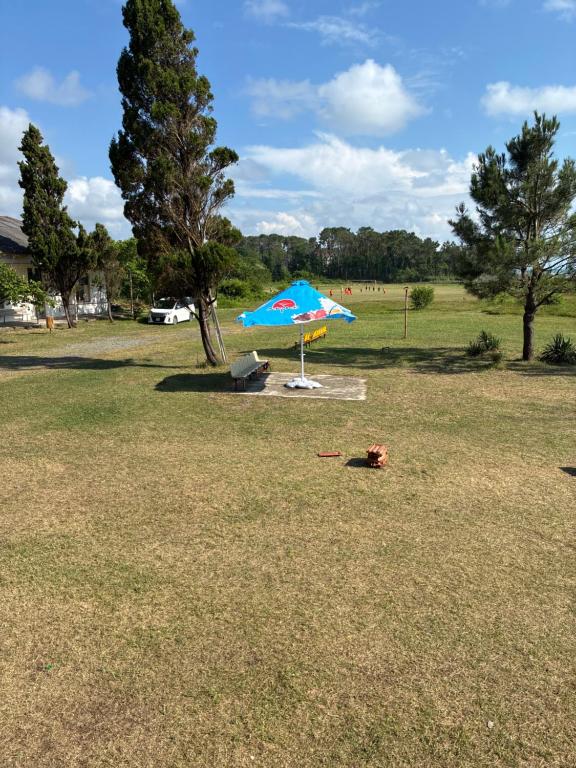 a blue umbrella in a field with a tree at Tolia in Ureki