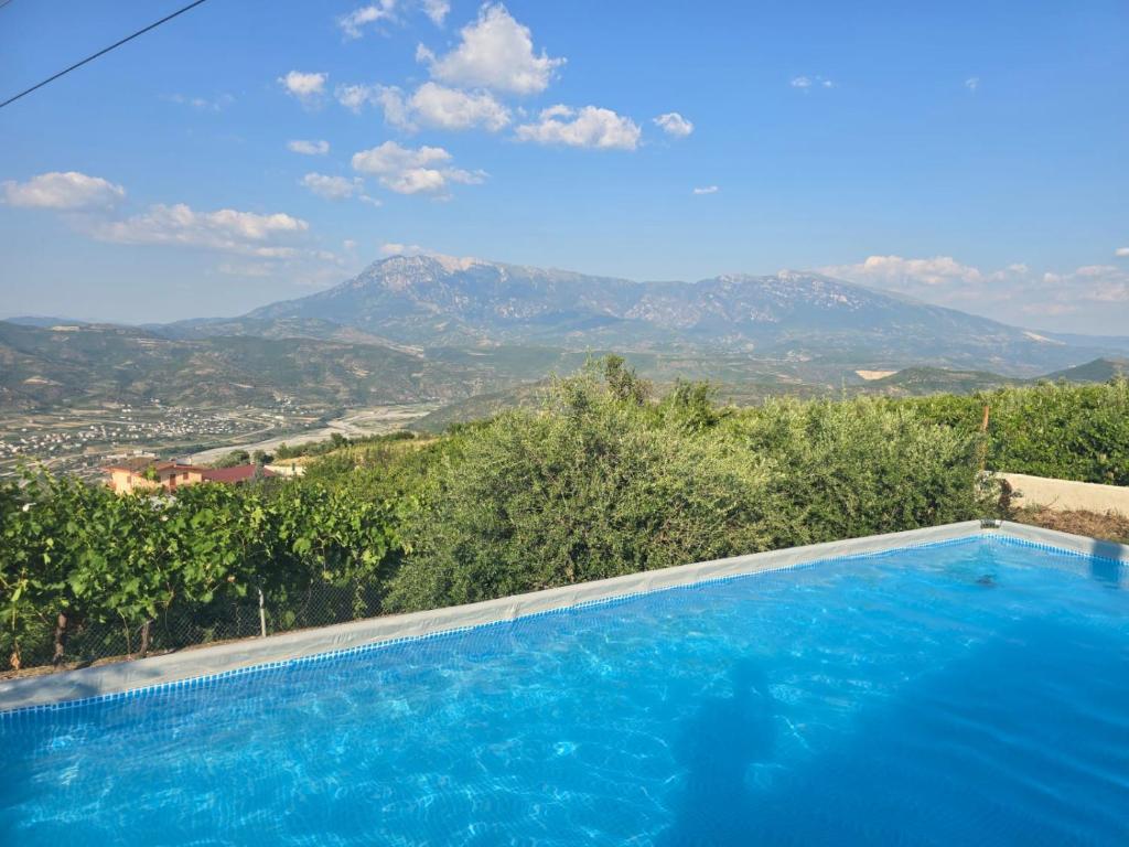 a swimming pool with a view of mountains at Swimming Pool - Valley View Home Drobonik in Drobonik