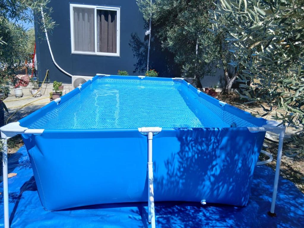 a small blue trampoline in a backyard at Swimming Pool - Leko House Perondi in Kuçovë