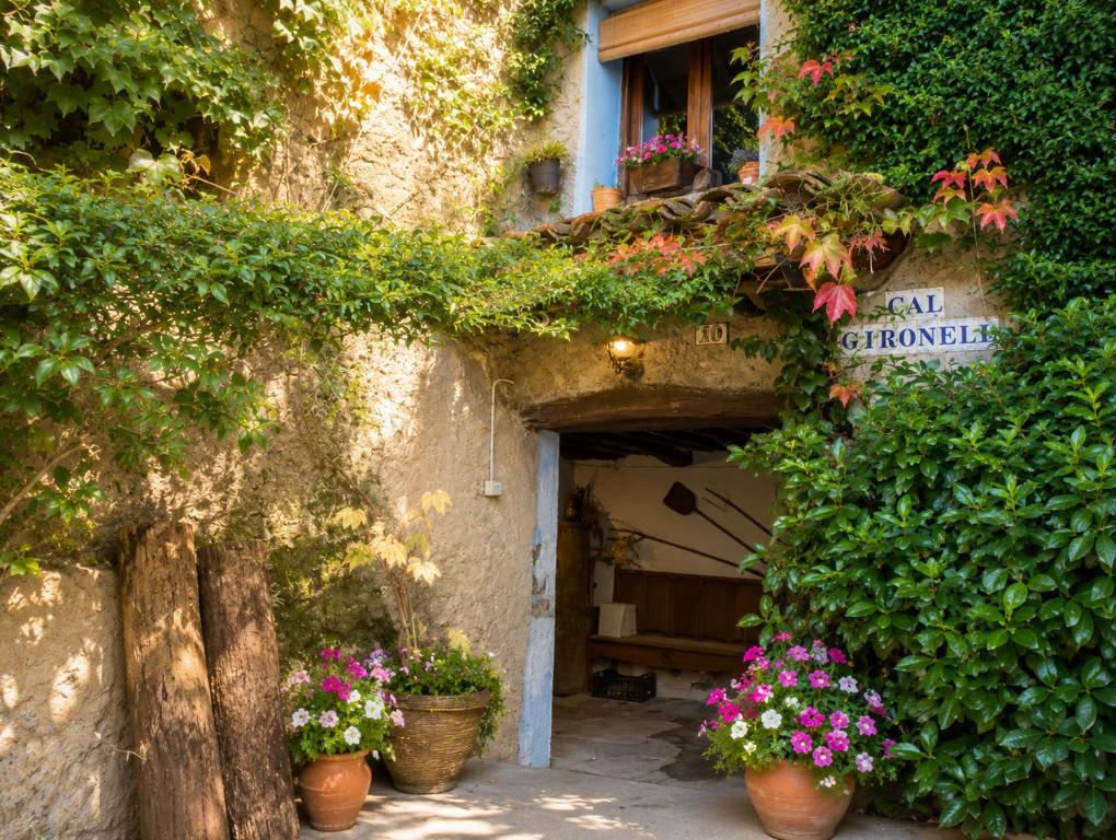 an entrance to a building with flowers in pots at Cal Gironell in Santa María de Meyá