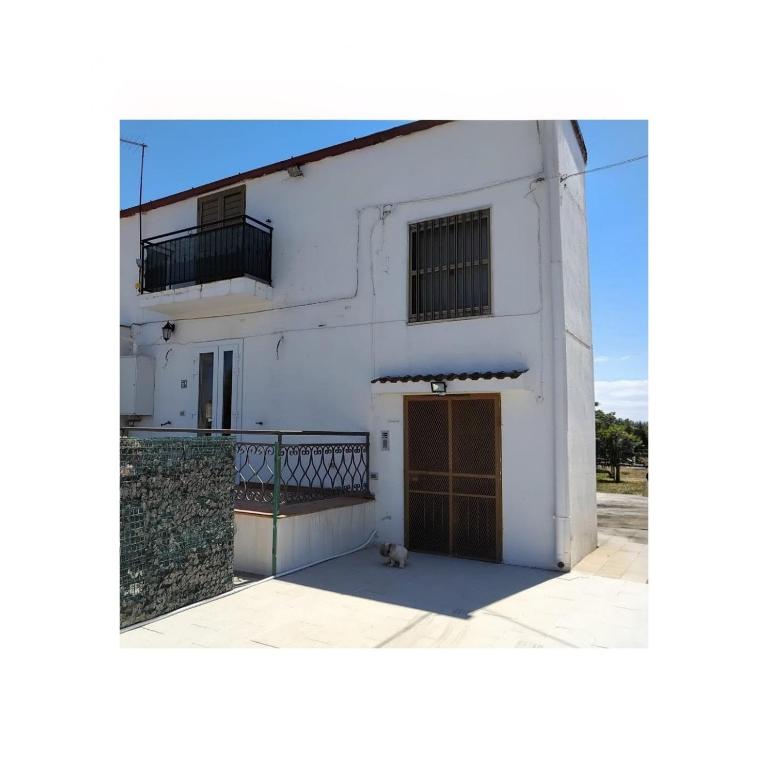 a white house with a dog sitting in front of it at Casa Climatizzata Marina di Pisticci-Marconia in Marconia