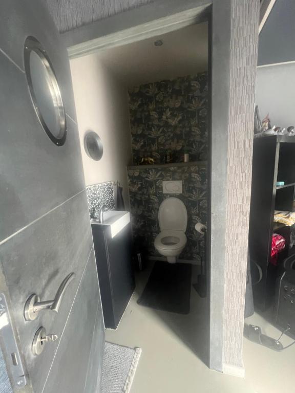 a small bathroom with a toilet and a sink at coin détente in Juprelle