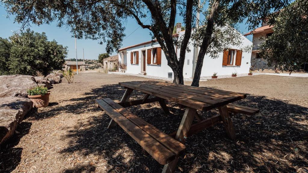 a wooden picnic table sitting next to a tree at Casa Vacanze LA CIMINEA in Erula