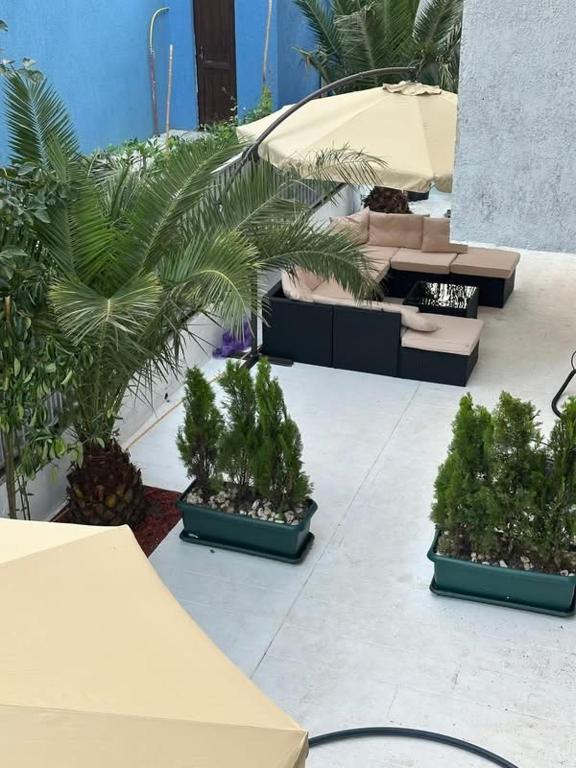 a patio with couches and palm trees and plants at Toidze's apartment1 in Kobuleti