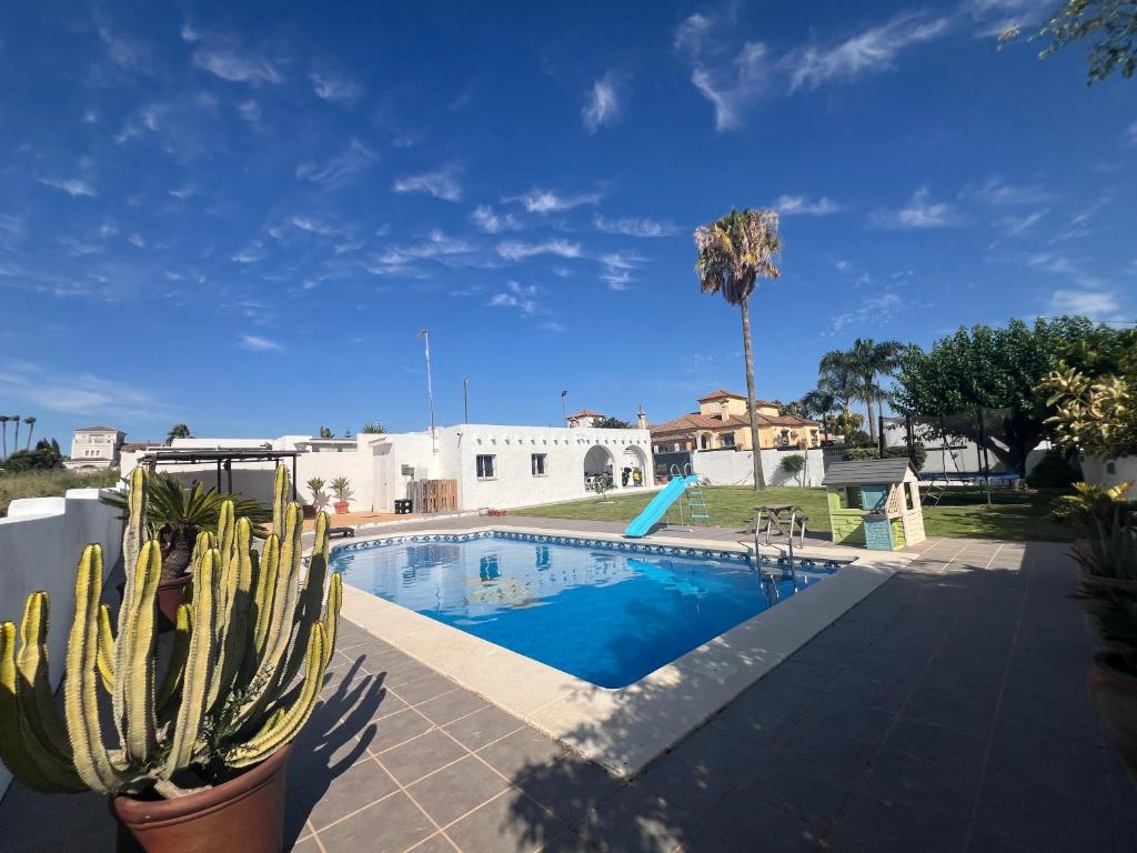 a swimming pool with a cactus in front of a house at San Calixto 8 in Sanlúcar de Barrameda