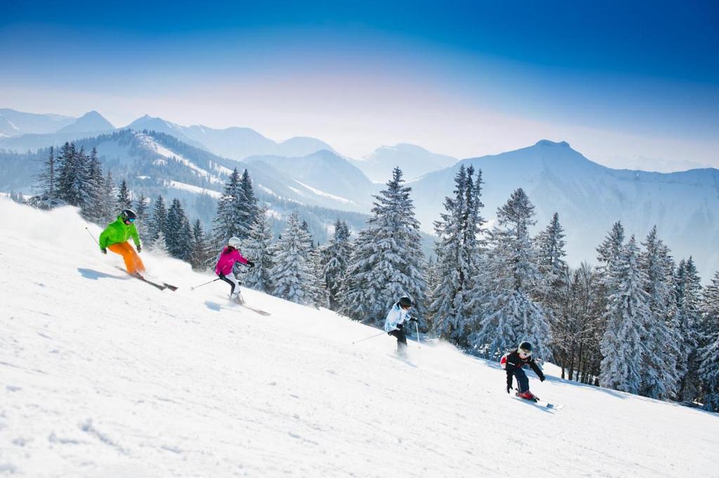 Am Ferienbauernhof Schmiedbauer com Salzkammergut v zimě