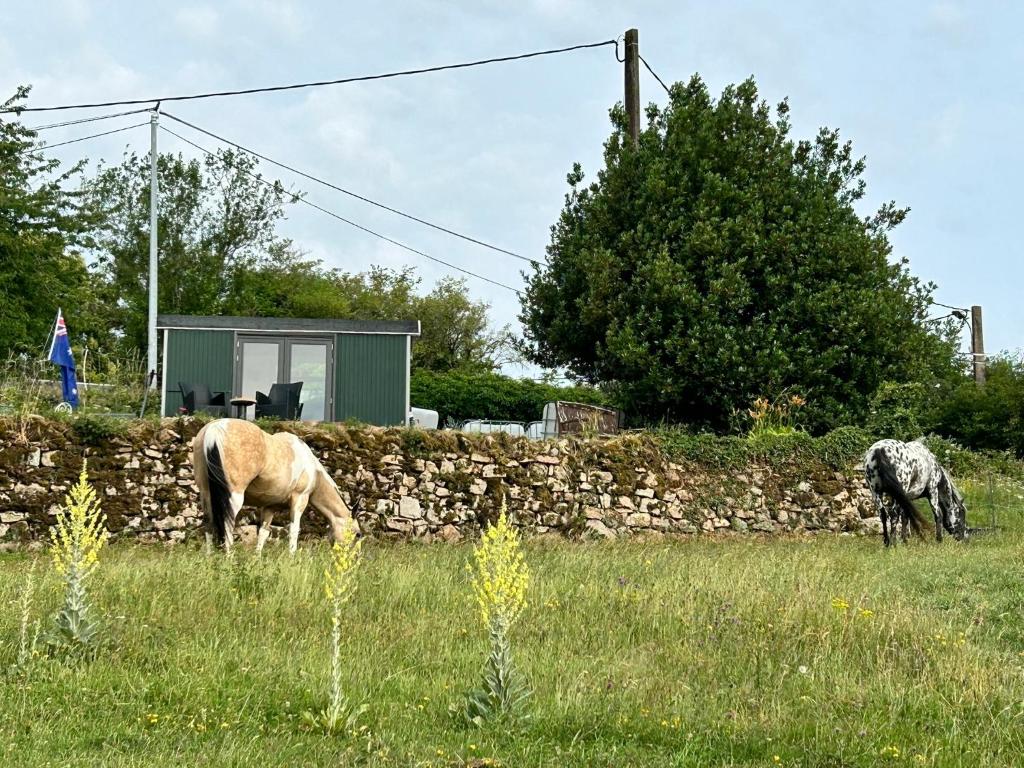 two animals grazing in a field next to a stone wall at Down under in France in Lormes