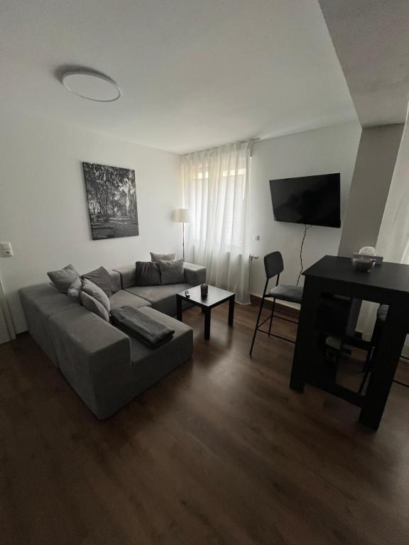 a living room with a couch and a table at Ferienwohnung zum Kriegerdenkmal in Alzey