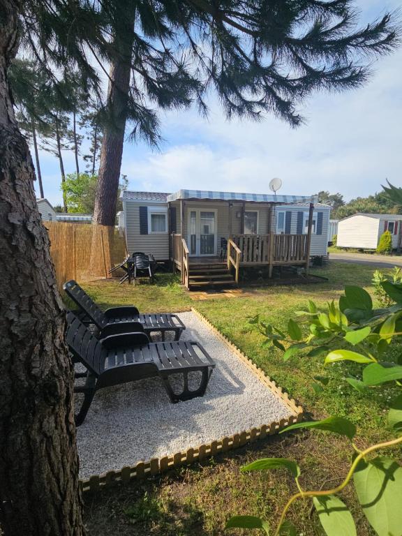 a campsite with a bench and a table and a tree at O'ContisParadise 2 in Saint-Julien-en-Born