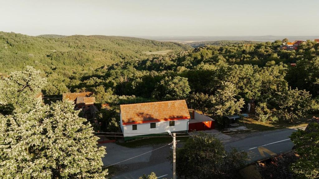 an aerial view of a house in the middle of a forest at Kuća za odmor Odvorci in Jakačina Mala