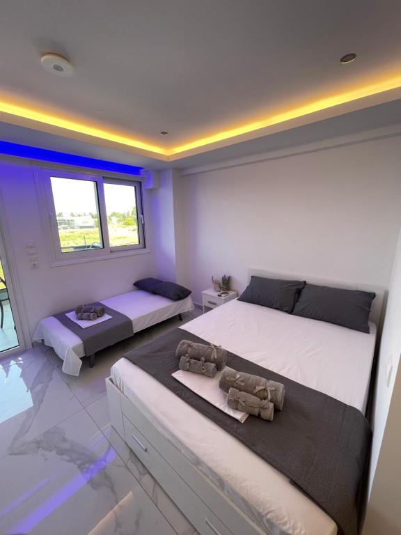 Aliki Studios 1