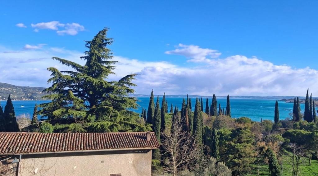 a view of a tree and the ocean at Alpina Sanico in Toscolano Maderno