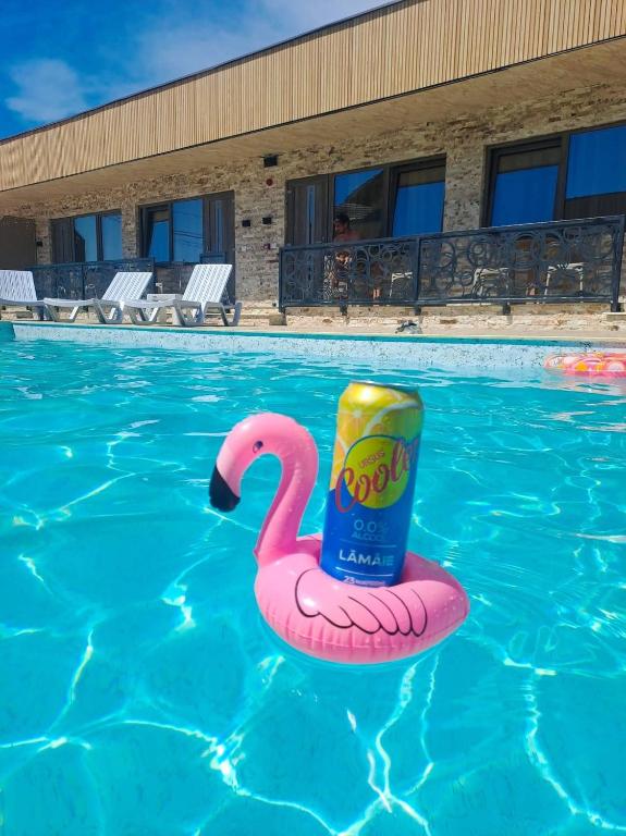 a pink flamingo float in a swimming pool at Casa Sofia in Târgu Jiu
