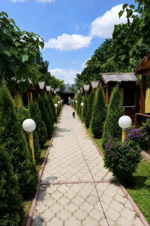 a walkway through a garden with a dog walking down it at Cazare Balliu in Corbu