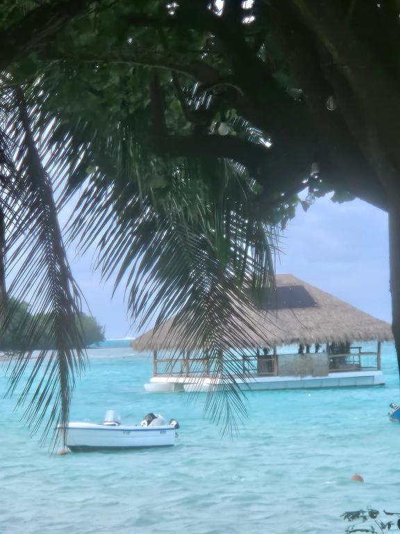 Bungalow paradisiaque en bord de lagon Fare Ananda - photo 10 - Moorea, Polynésie