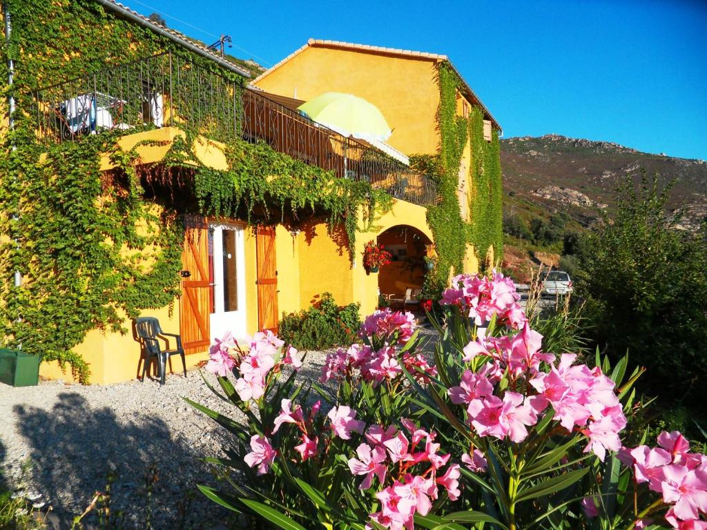 une maison jaune avec des fleurs devant elle dans l'établissement A Pianella, à Castirla