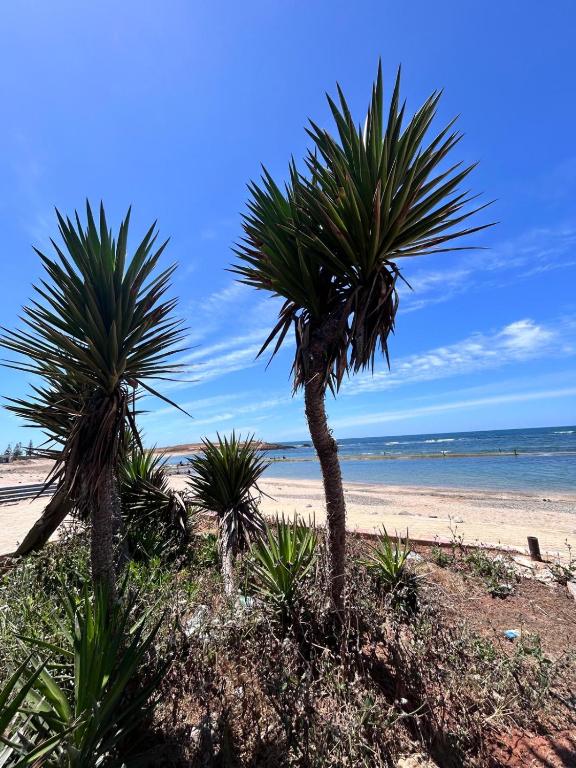 two palm trees on a beach with the ocean at Chez Bouchra Suite familiale in Pont Blondin
