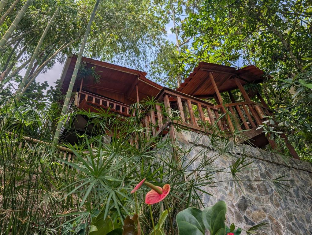 a tree house in the middle of the forest at Mantoverde in Dosquebradas
