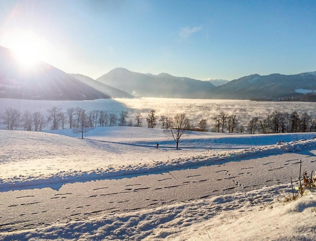 Fotografie z fotogalerie ubytování Hotel Alpenhof v destinaci Bad Wiessee
