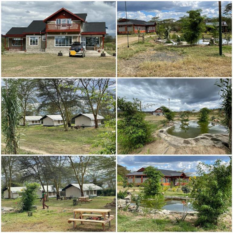 four different pictures of a house and a park at Eschato tented camp in Gilgil