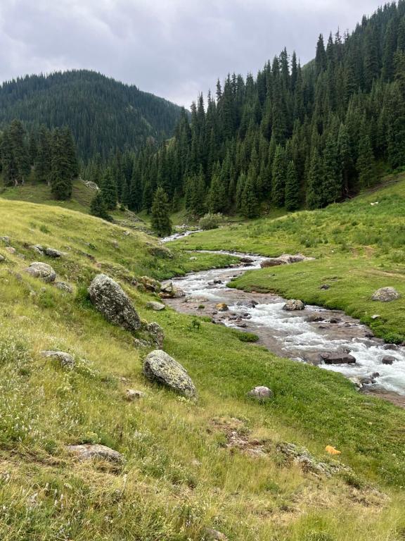 a river in a field with rocks and trees at Mountain View in Türgen