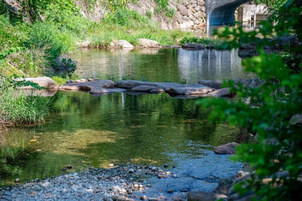 a river with a bridge and rocks in the water at Jirisan Forest Caravan Park in Gurye