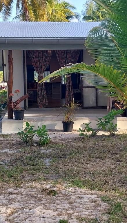 Ô Paki Paki Lodge - photo 11 - Tikehau, Polynésie