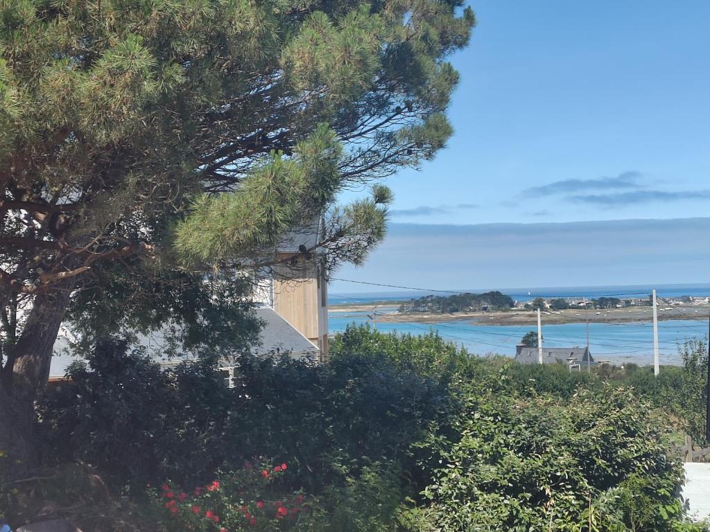 a house with a tree and a view of the ocean at Maison Ciaran in Trébeurden