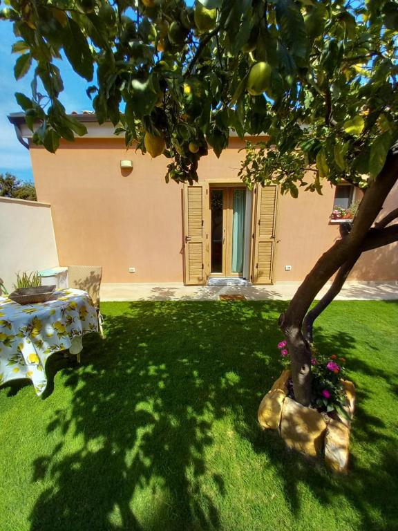 a table and chair under a tree in a yard at Casa Tella in Pula