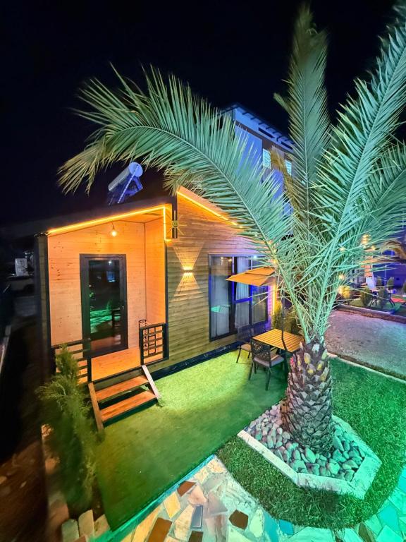 a palm tree in front of a house at night at Cottage 505 in Ureki