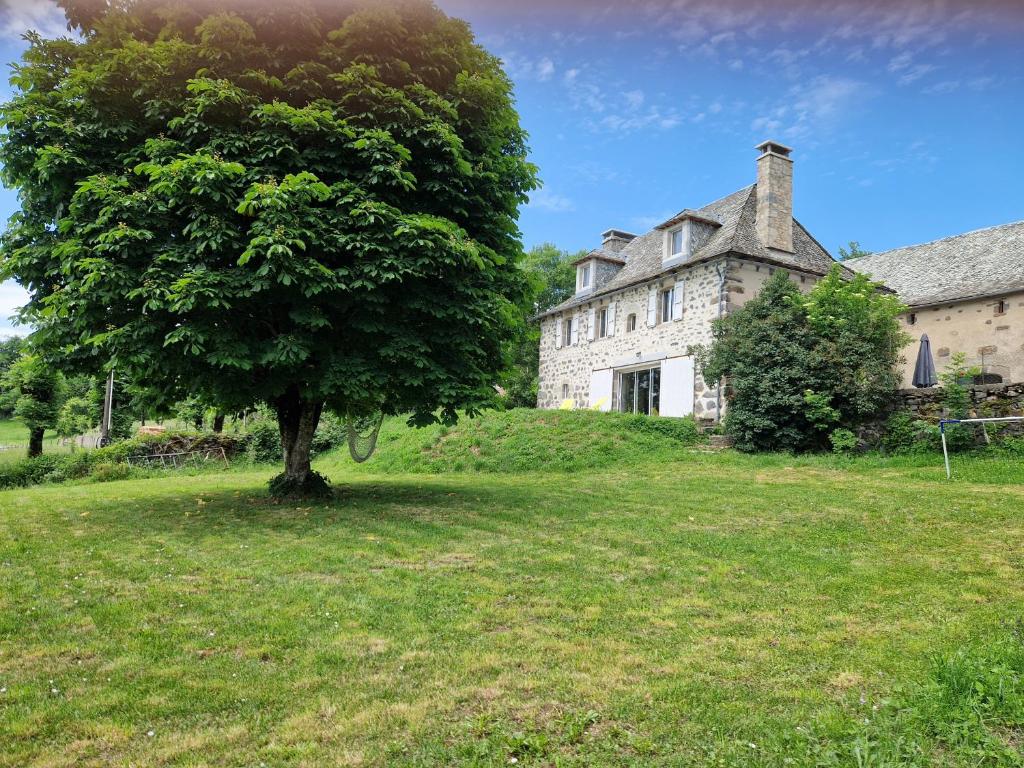 an old house with a tree in front of it at Le Domaine Eugenie in Cassuéjouls
