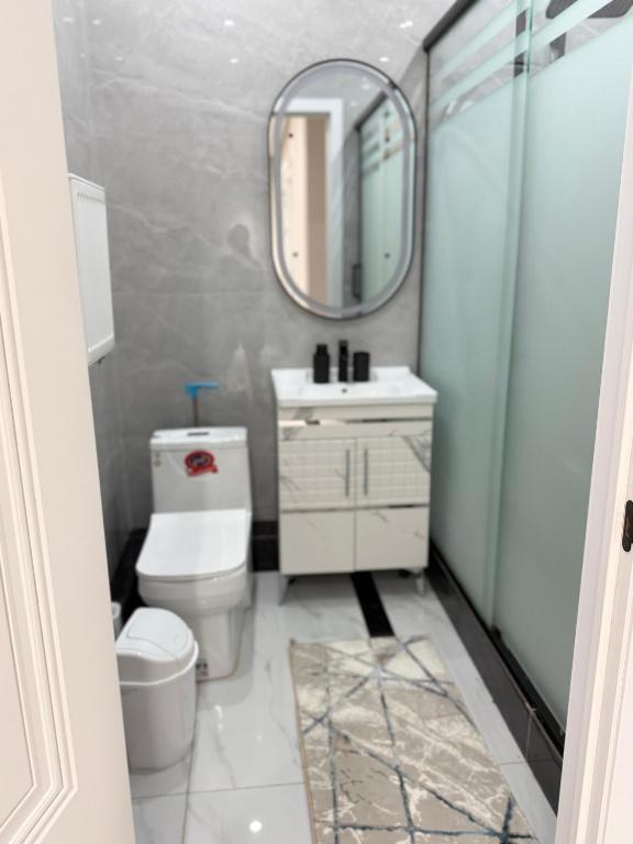 a bathroom with a toilet and a sink and a mirror at Улы Дала in Shymkent