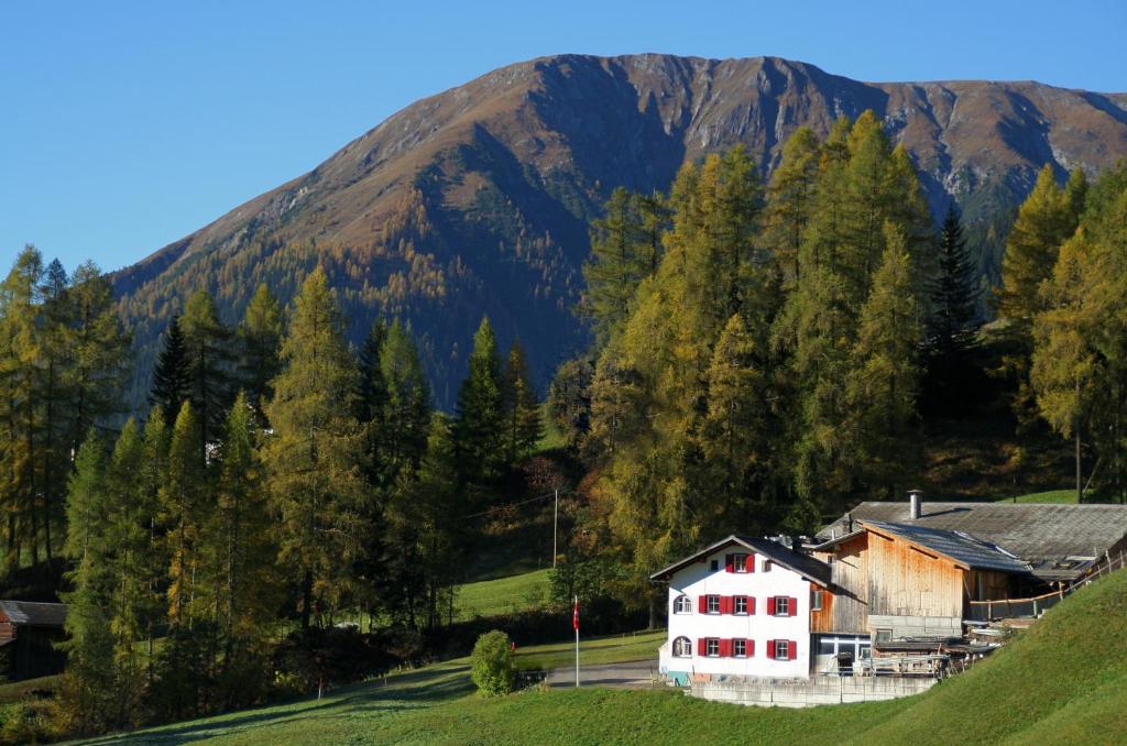 BnB Guesthouse Lusi - Appartement Met Uitzicht Op De Bergen