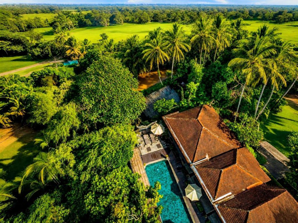an overhead view of a resort with a pool and trees at Tattva Ubud Retreat & Wellness in Ubud