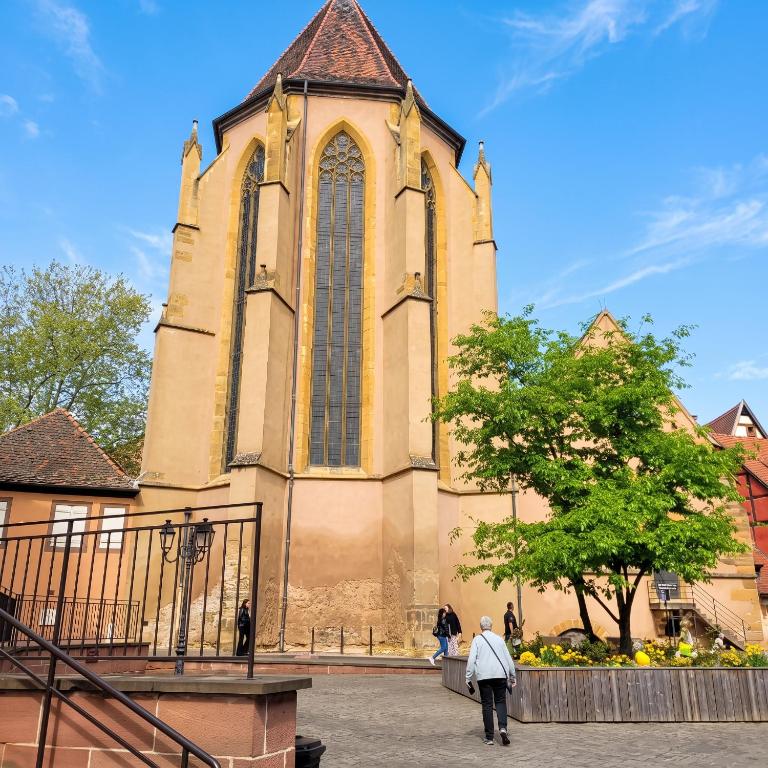 Studio moderne à Colmar, 30 m² avec équipements – photo 11