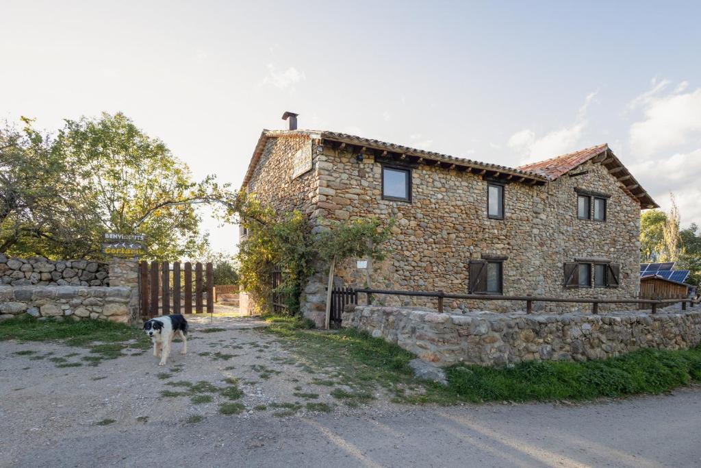 a dog standing in front of a stone house at Colònies Cadí - Cal Caló in Bellver de Cerdanya