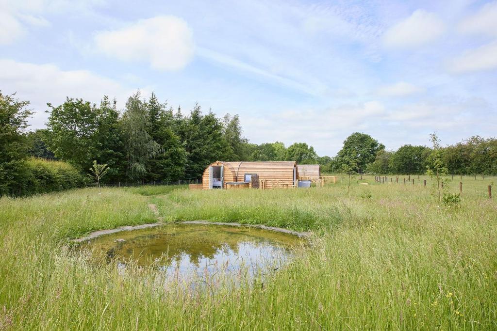 a wooden cabin in a field with a pond at Waters Edge Cabin in Helmsley