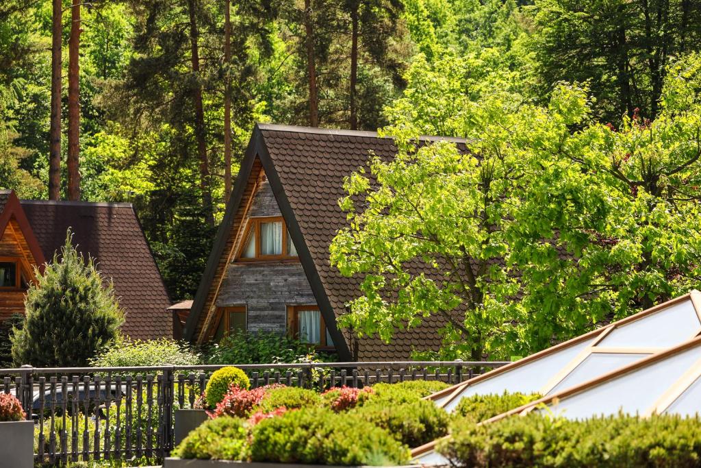 a house with a black roof and some plants at Domki Czarny Groń in Rzyki