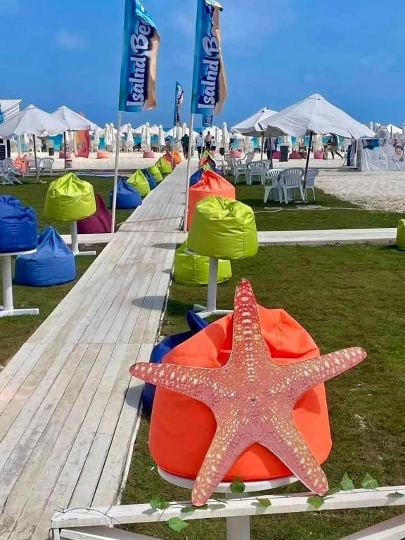 a starfish laying on the grass next to a beach at Biu Bela abartment hotel 2 in El Alamein