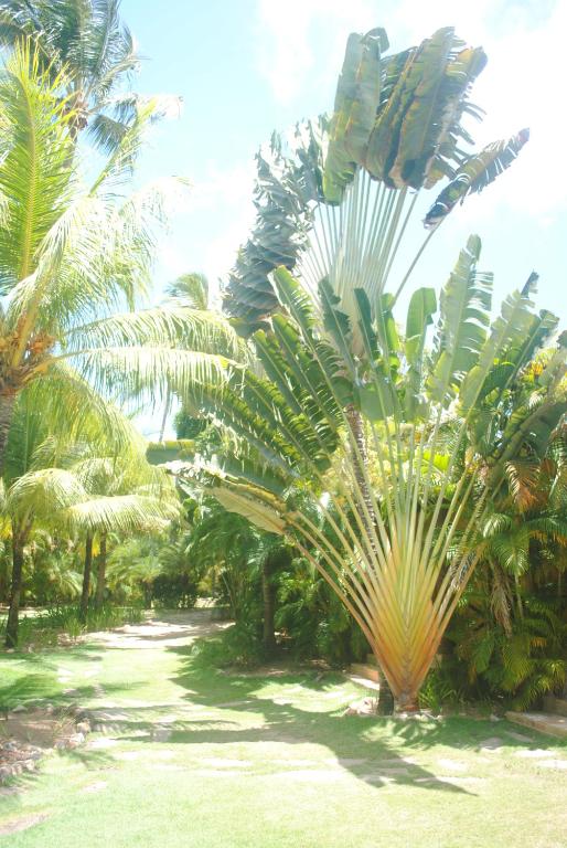  Casa Girassois